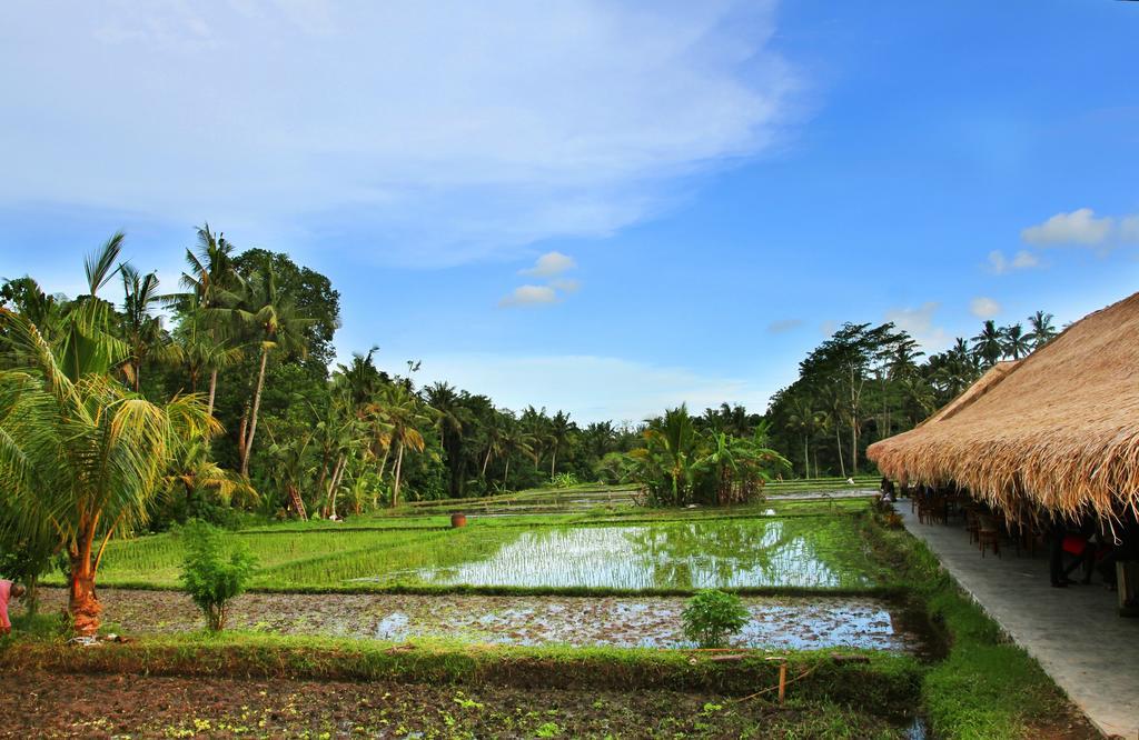 Sapulidi Resort Spa & Gallery Bali อูบุด ภายนอก รูปภาพ