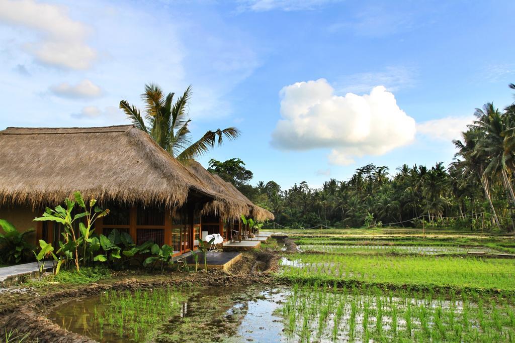 Sapulidi Resort Spa & Gallery Bali อูบุด ภายนอก รูปภาพ