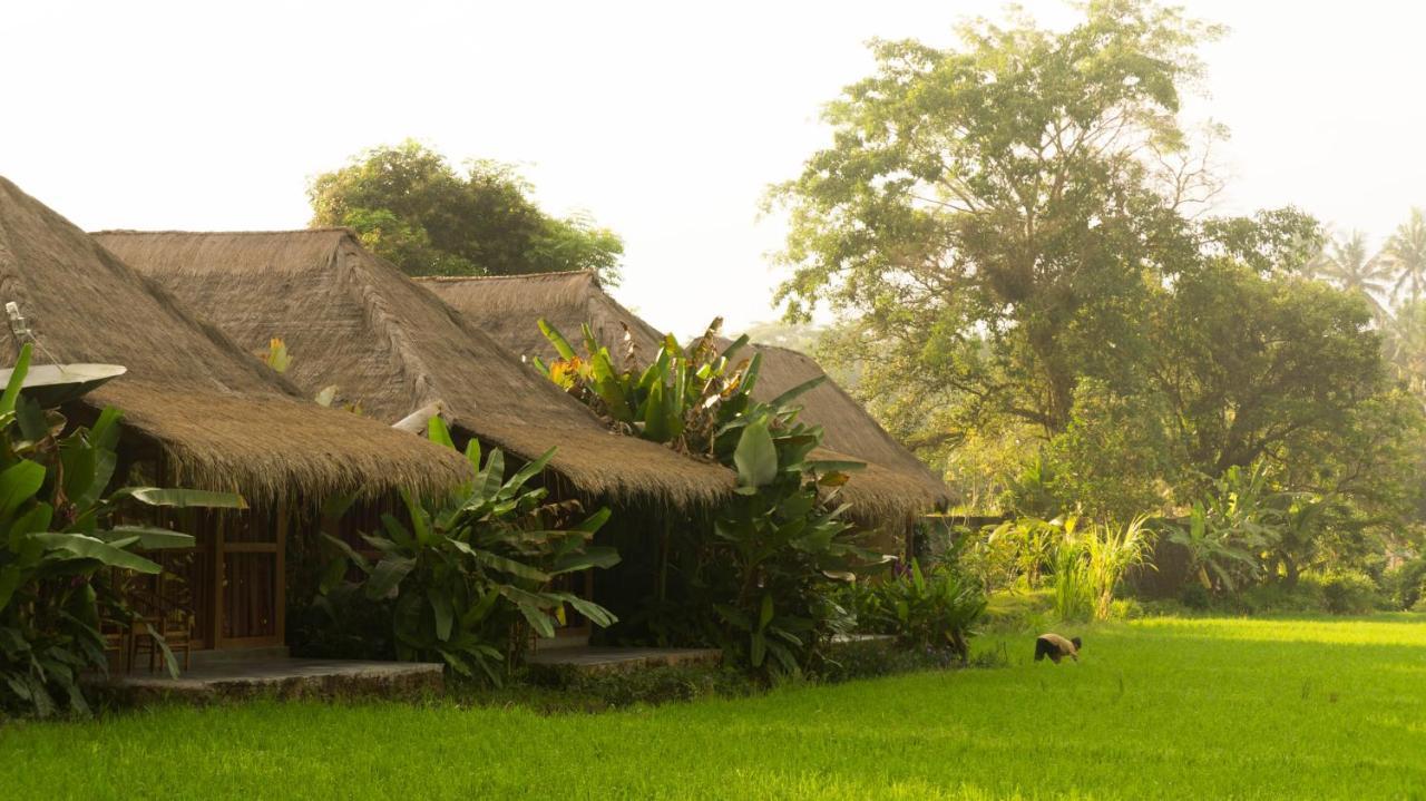 Sapulidi Resort Spa & Gallery Bali อูบุด ภายนอก รูปภาพ