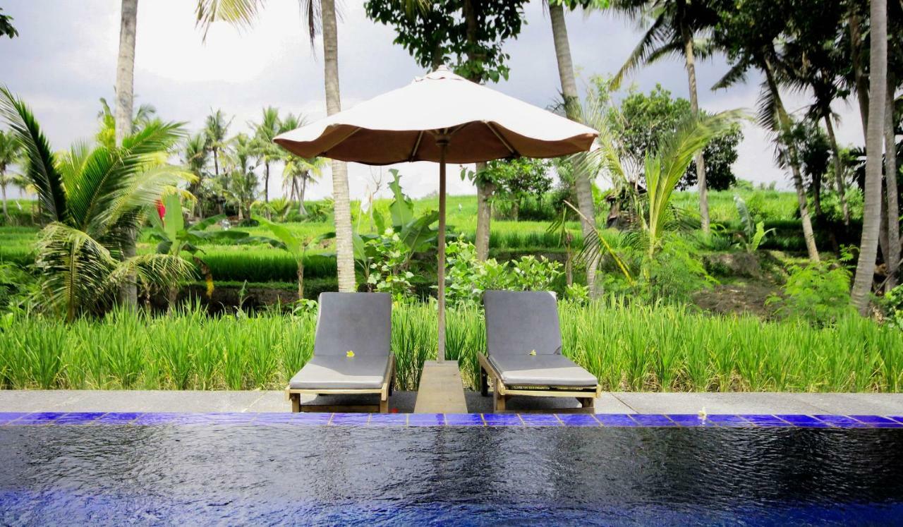 Sapulidi Resort Spa & Gallery Bali อูบุด ภายนอก รูปภาพ